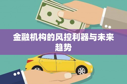 娄烦金融机构的风控利器与未来趋势