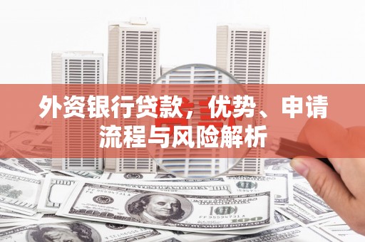 娄烦外资银行贷款，优势、申请流程与风险解析