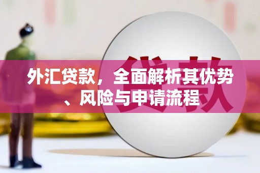娄烦外汇贷款，全面解析其优势、风险与申请流程