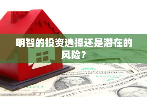 娄烦明智的投资选择还是潜在的风险？