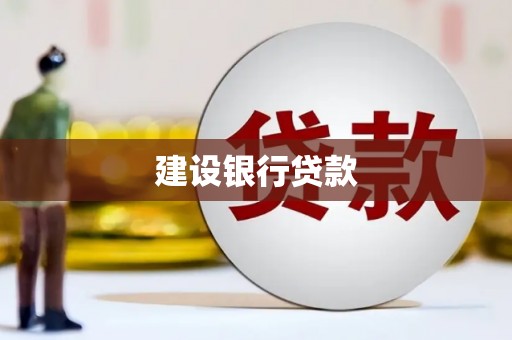 娄烦建设银行贷款