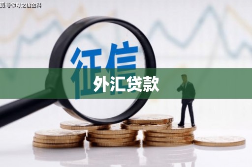 娄烦外汇贷款