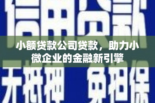 娄烦小额贷款公司贷款，助力小微企业的金融新引擎