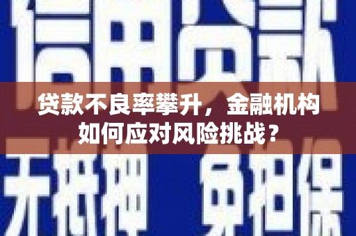 娄烦贷款不良率攀升，金融机构如何应对风险挑战？