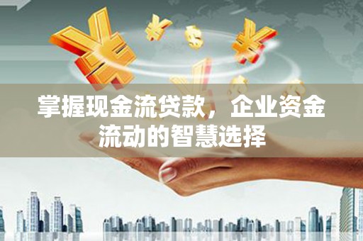 娄烦掌握现金流贷款，企业资金流动的智慧选择