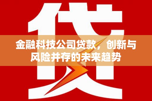 娄烦金融科技公司贷款，创新与风险并存的未来趋势