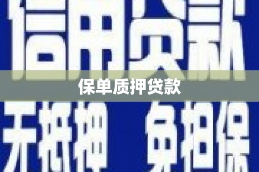 娄烦保单质押贷款