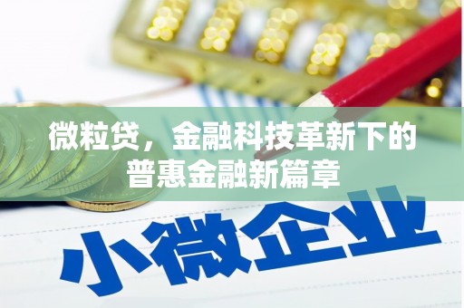 娄烦微粒贷，金融科技革新下的普惠金融新篇章