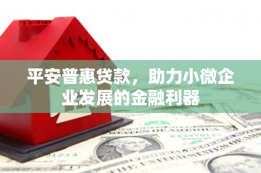 娄烦平安普惠贷款，助力小微企业发展的金融利器