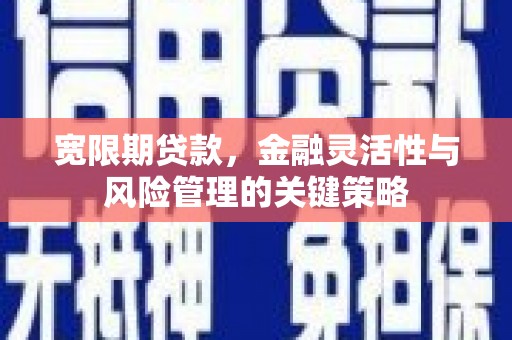 娄烦宽限期贷款，金融灵活性与风险管理的关键策略