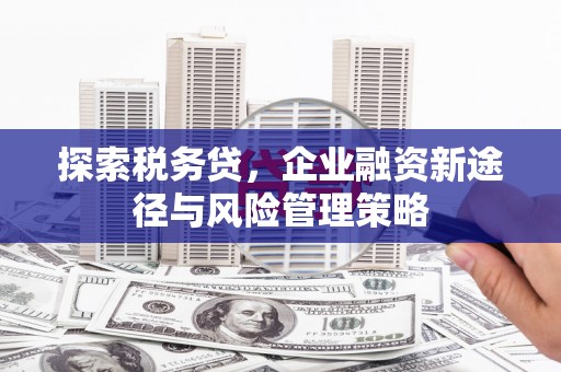 娄烦探索税务贷，企业融资新途径与风险管理策略