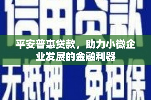 娄烦平安普惠贷款，助力小微企业发展的金融利器