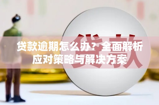 娄烦贷款逾期怎么办？全面解析应对策略与解决方案