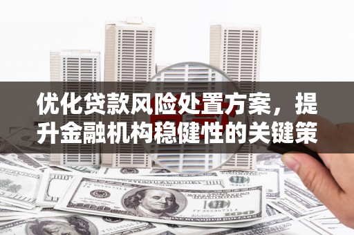 娄烦优化贷款风险处置方案，提升金融机构稳健性的关键策略