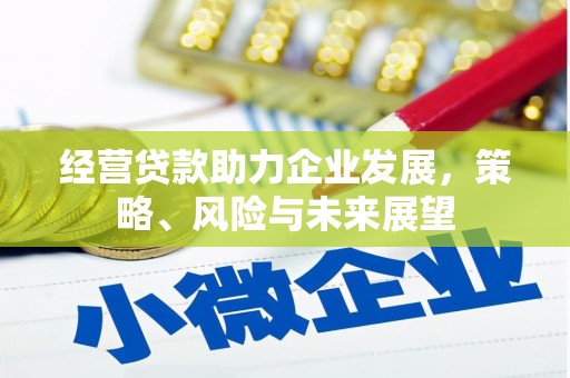 娄烦经营贷款助力企业发展，策略、风险与未来展望