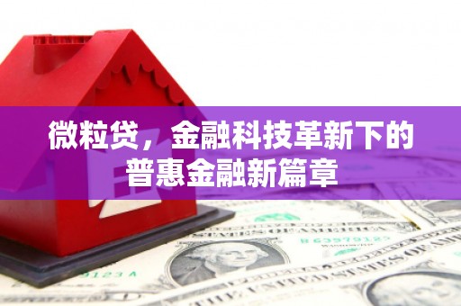 娄烦微粒贷，金融科技革新下的普惠金融新篇章