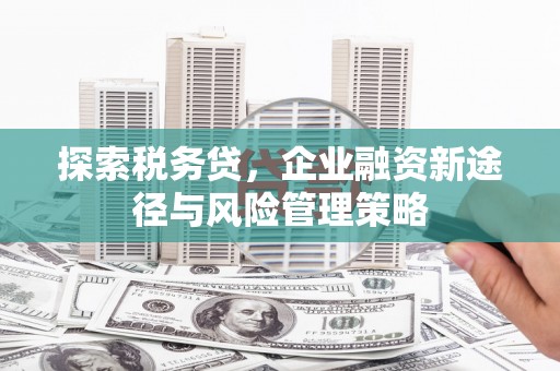 娄烦探索税务贷，企业融资新途径与风险管理策略
