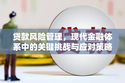 娄烦贷款风险管理，现代金融体系中的关键挑战与应对策略