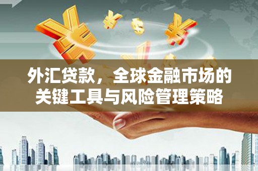 娄烦外汇贷款，全球金融市场的关键工具与风险管理策略