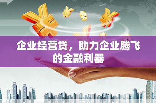 娄烦企业经营贷，助力企业腾飞的金融利器