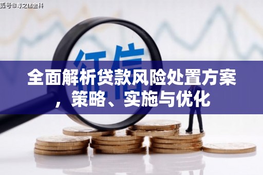 娄烦全面解析贷款风险处置方案，策略、实施与优化