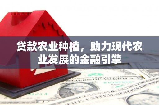娄烦贷款农业种植，助力现代农业发展的金融引擎