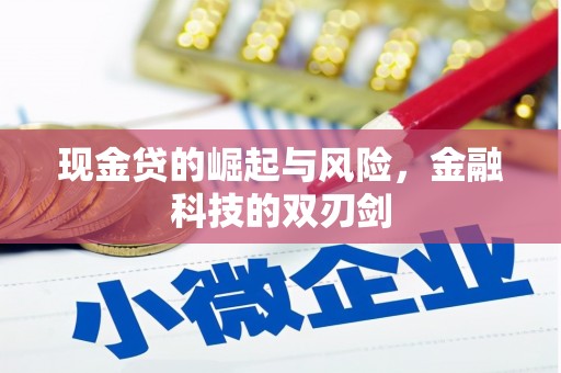 娄烦现金贷的崛起与风险，金融科技的双刃剑