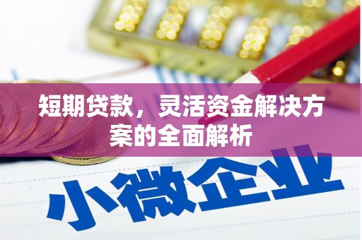 娄烦短期贷款，灵活资金解决方案的全面解析