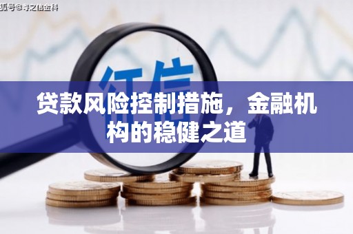 娄烦贷款风险控制措施，金融机构的稳健之道