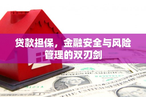 娄烦贷款担保，金融安全与风险管理的双刃剑