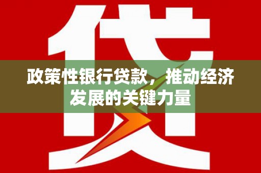 娄烦政策性银行贷款，推动经济发展的关键力量