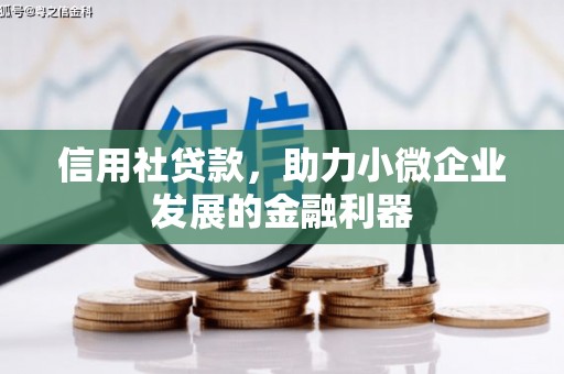 娄烦信用社贷款，助力小微企业发展的金融利器