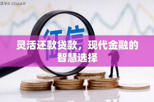 娄烦灵活还款贷款，现代金融的智慧选择
