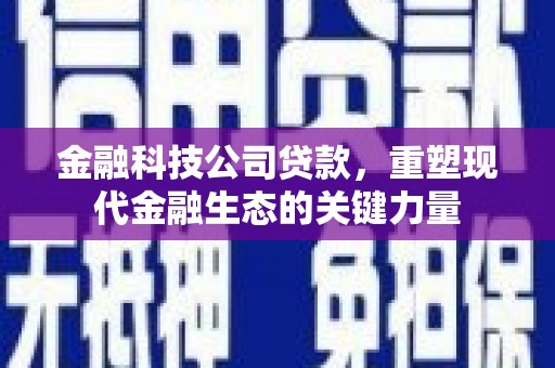 娄烦金融科技公司贷款，重塑现代金融生态的关键力量