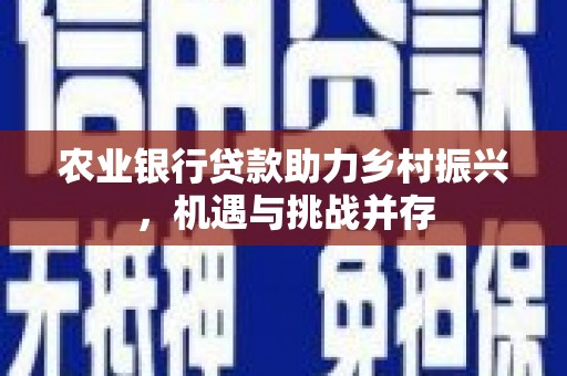 娄烦农业银行贷款助力乡村振兴，机遇与挑战并存