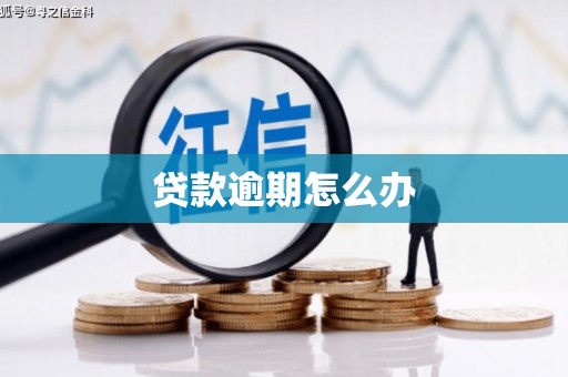 娄烦贷款逾期怎么办