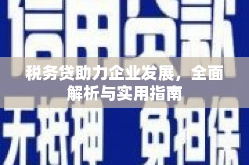 娄烦税务贷助力企业发展，全面解析与实用指南