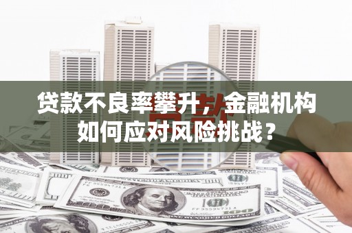 娄烦贷款不良率攀升，金融机构如何应对风险挑战？