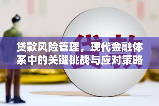 娄烦贷款风险管理，现代金融体系中的关键挑战与应对策略