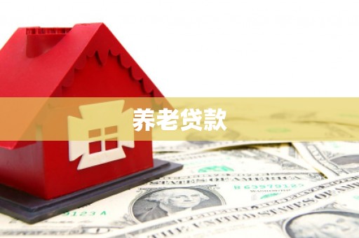 娄烦养老贷款