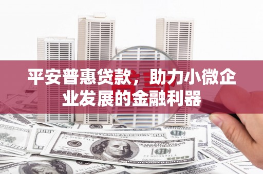娄烦平安普惠贷款，助力小微企业发展的金融利器