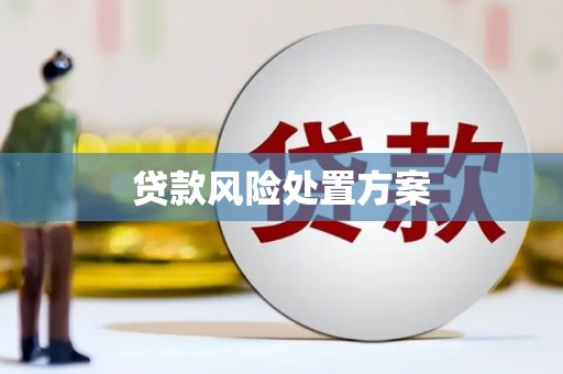 娄烦贷款风险处置方案