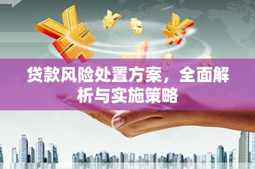 娄烦贷款风险处置方案，全面解析与实施策略