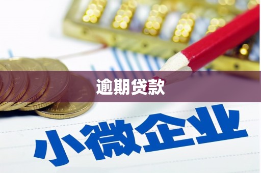 娄烦逾期贷款